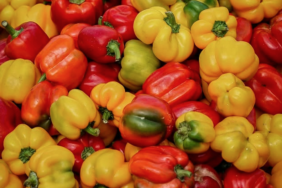 "Tổng quan về tài trợ thương mại"