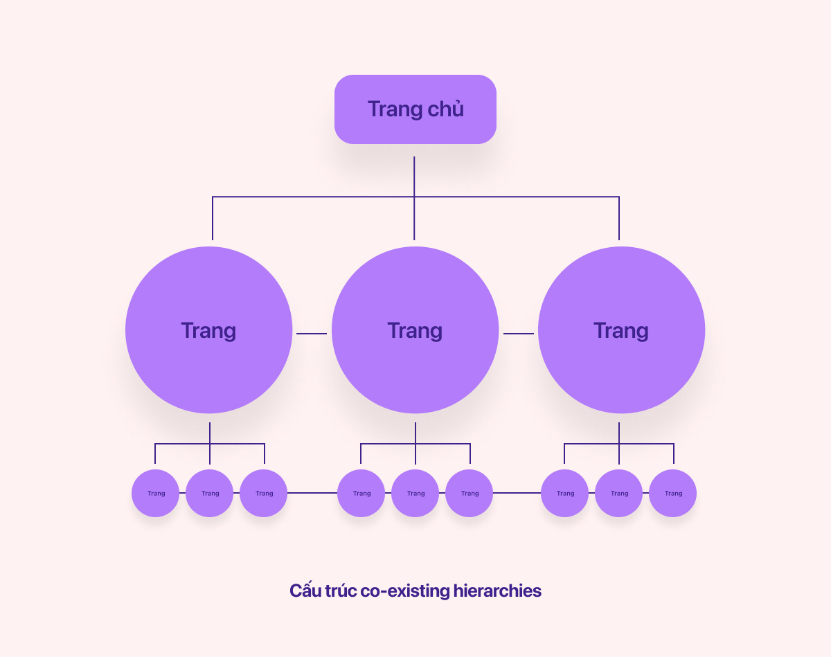 cấu trúc Co-existing hierarchies