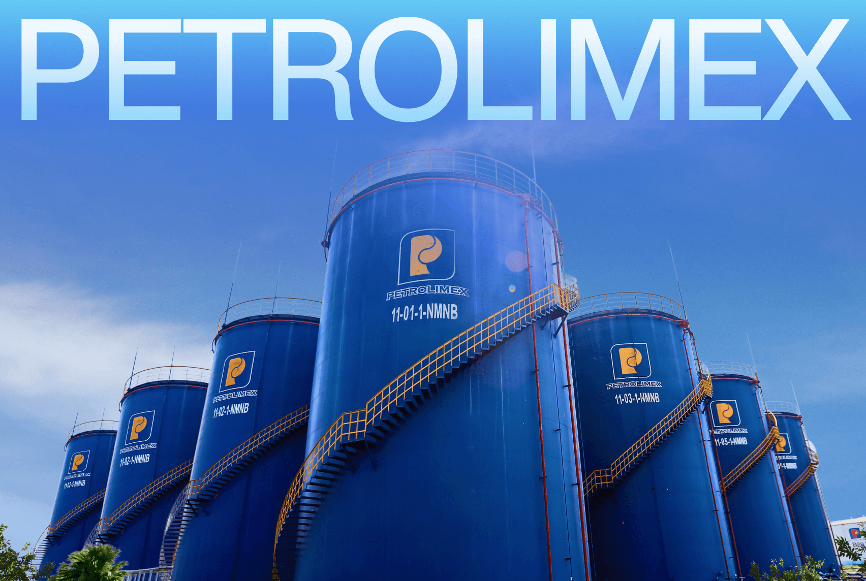 Petrolimex Annual Digital Report Bản Lĩnh Doanh nghiệp trọng yếu